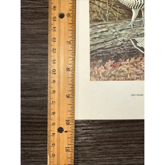VTG Grouse Bookplate George Miksch Sutton Lithograph Bird Portraits In Color - Picture 8 of 9